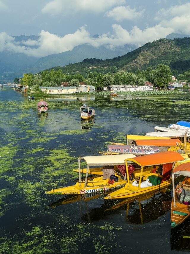 Top 10 Tourist Places to Visit in Kashmir