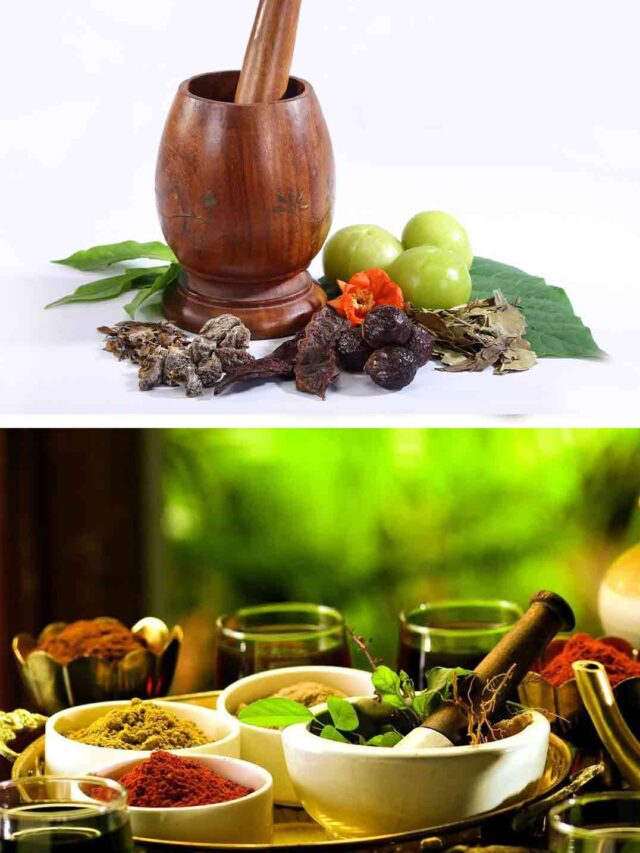 Top 10 Ayurvedic Medicine for Constipation